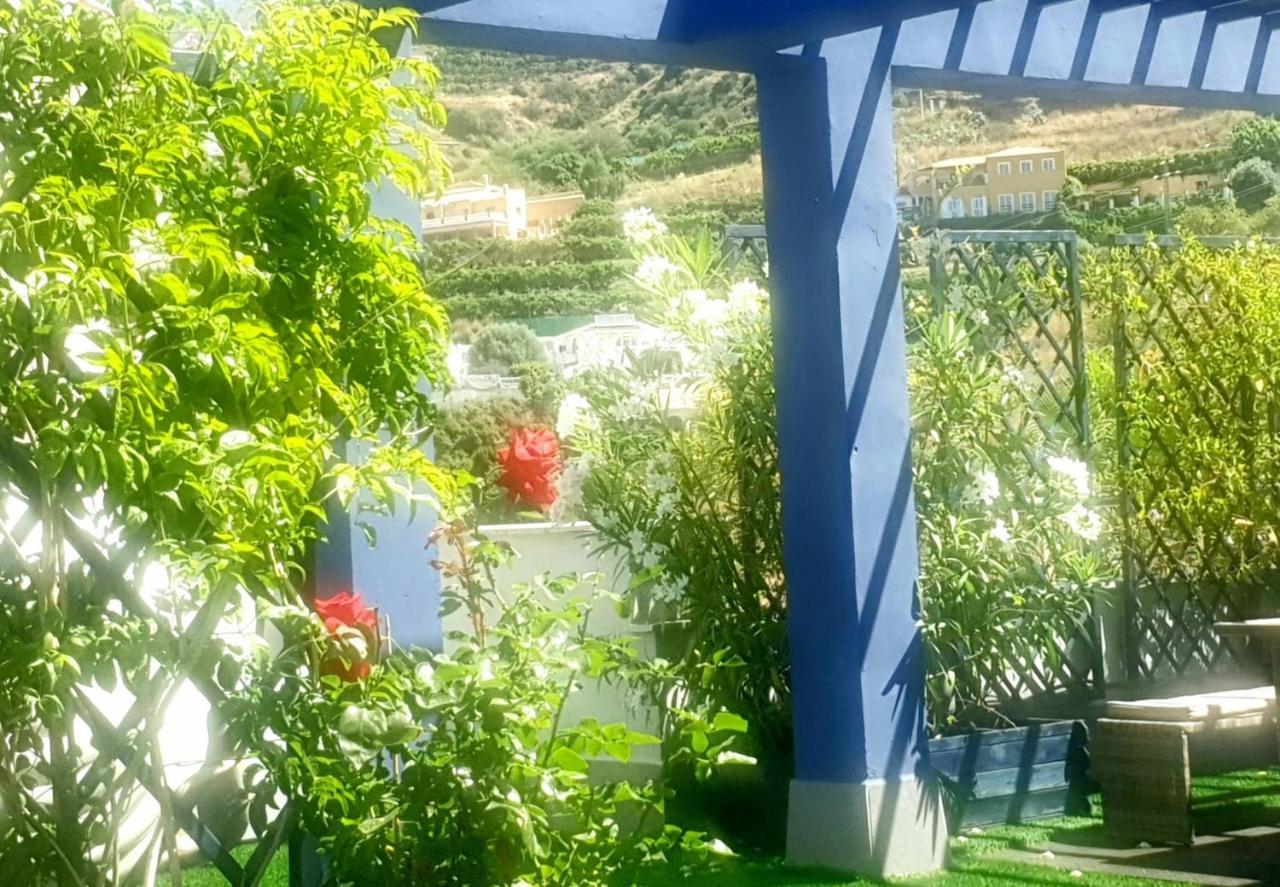 Atico 90M De Terraza, Jacuzzi Privado Y Cargador De Coche Electrico En Cabria, Almuñécar エクステリア 写真